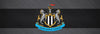 NEWCASTLE UNITED KAMPPROGRAM