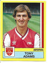 011. TONY ADAMS - ARSENAL