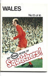 13. ESSO SQUELCHERS! - WALES