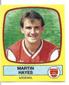 020. MARTIN HAYES - ARSENAL