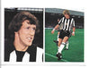 253. ALAN GOWLING - NEWCASTLE UNITED