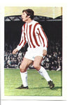 258. ALAN BLOOR - STOKE CITY