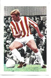 263. JIMMY GREENHOFF - STOKE CITY