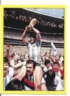 287. DIEGO MARADONA - GETS HIS HANDS ON THE WORLD CUP