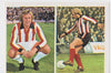 295. JIMMY GREENHOFF - STOKE CITY