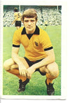 317. HUGH CURRAN - WOLVERHAMPTON WANDERERS