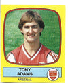 006. TONY ADAMS - ARSENAL