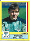 088. NEVILLE SOUTHALL - EVERTON