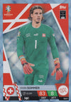 SUI.01 - YANN SOMMER - SWITZERLAND - BLUE CRYSTAL HOLOGRAPH