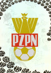 015. POLSKA - COUNTRY BADGE - RAINBOW CARD