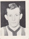 041. JOHN FANTHAM - SHEFFIELD WEDNESDAY