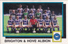 407. TEAM PHOTO - BRIGHTON & HOVE ALBION