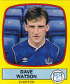 089. DAVE WATSON - EVERTON