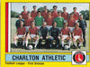 047. CHARLTON ATHLETIC - TEAM PHOTO