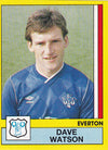 092. DAVE WATSON - EVERTON