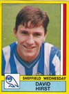 307. DAVID HIRST - SHEFFIELD WEDNESDAY