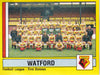 352. WATFORD - TEAM PHOTO