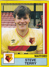 347. STEVE TERRY - WATFORD