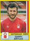 226. GARRY BIRTLES - NOTTINGHAM FOREST