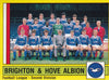 420. BRIGHTON & HOVE ALBION - TEAM PHOTO