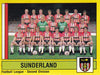 444. SUNDERLAND - TEAM PHOTO