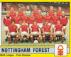 223. NOTTINGHAM FOREST - TEAM PHOTO