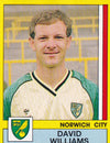 208. DAVID WILLIAMS - NORWICH CITY