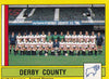 423. DERBY COUNTY - TEAM PHOTO