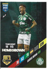 042.  PAL 15.  Gabriel Menino - SE Palmeiras  -  Homegrown