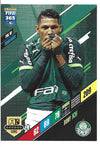 043.  PAL 16.  Rony  - SE Palmeiras