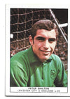 21. PETER SHILTON - LEICESTER CITY & ENGLAND (U-23)