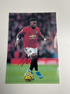 MANCHESTER UNITED - FRED - BILDE UTEN EKTEHETSBEVIS/COA