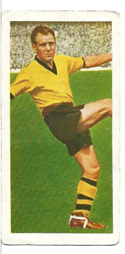 NO.3. N.DEELEY - WOLVERHAMPTON WANDERERS