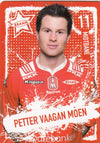 BRA - PETTER VAAGAN MOEN - BRANN SK