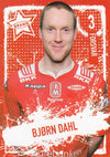 BRA - BJØRN DAHL - BRANN SK