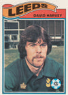 007. DAVID HARVEY - LEEDS