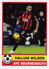 011. CALLUM WILSON - AFC BOURNEMOUTH