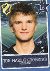 STABÆK - TOR MARIUS GROMSTAD