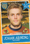 AALESUND - JOHAN ARNENG