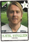 HØNEFOSS - KJETIL BYFUGLIEN