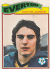 263. David Jones - Everton