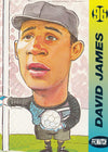 071. DAVID JAMES - LIVERPOOL