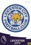 118. LEICESTER CITY - TEAM LOGO