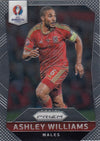 120. ASHLEY WILLIAMS - WALES