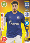 164. SUAT SERDAR - SCHALKE 04 - TEAM MATE