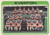 383. Everton - Checklist - UKRYSSET