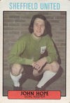 273. JOHN HOPE - SHEFFIELD UNITED