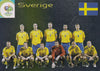 031. SVERIGE - TEAM PHOTO