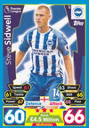 047. STEVE SIDWELL - BRIGHTON & HOVE ALBION