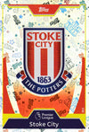 253. STOKE CITY - CLUB BADGE